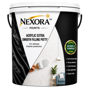 Acrylic Extra Smooth Filling Putty